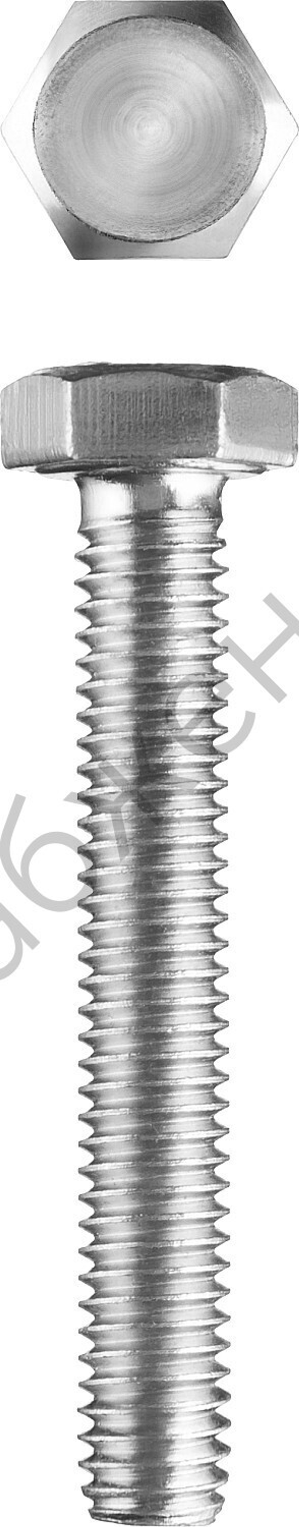 ЗУБР ГОСТ 7798-70, M8 x 100 мм, кл. пр. 5.8, болт оцинкованный, 2 шт (303086-08-100)