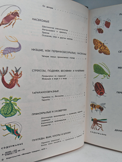Мир животных. Рассказы о насекомых