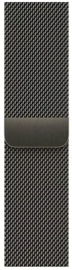 Умные часы Apple Watch Series 9 45 мм Steel Case GPS + Cellular, Graphite Milanese Loop