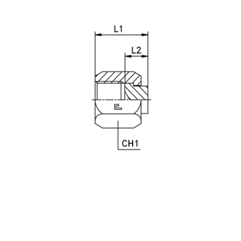 Заглушка V (Г) ORFS 1