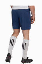 Шорты adidas Entrada 22