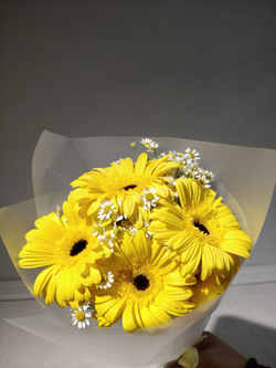 Солнечный букет-кулек с гермини и матрикарией (С0060)