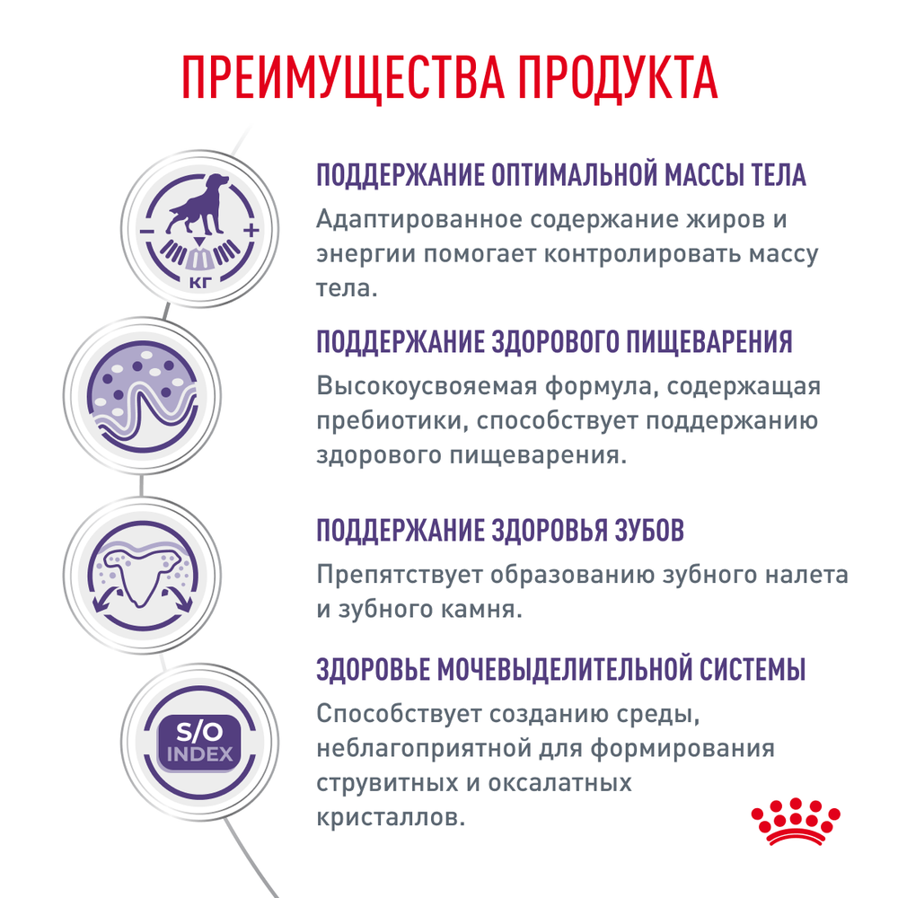 Сухой корм Royal Canin Neutered Adult Small Dog для взрослых стерилизованных/кастрированных собак мелких пород Сухой корм Royal Canin Neutered Adult Small Dog для взрослых стерилизованных/кастрированных собак мелких пород