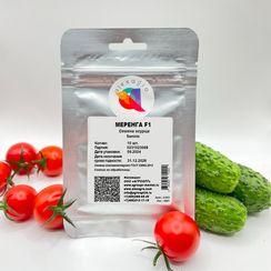 МЕРЕНГА F1 семена огурца (Seminis | Alexagro)