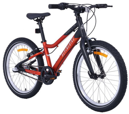 Детский велосипед Alpinebike Pegas 20 3 ск. (2025)