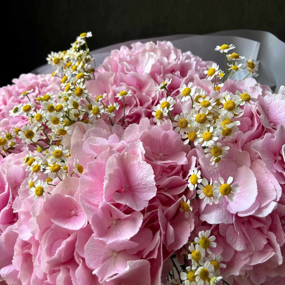 WOW-букет с розовой гортензией и ромашкой в стильной упаковке/ Цветы/ букет от RoseMarkt