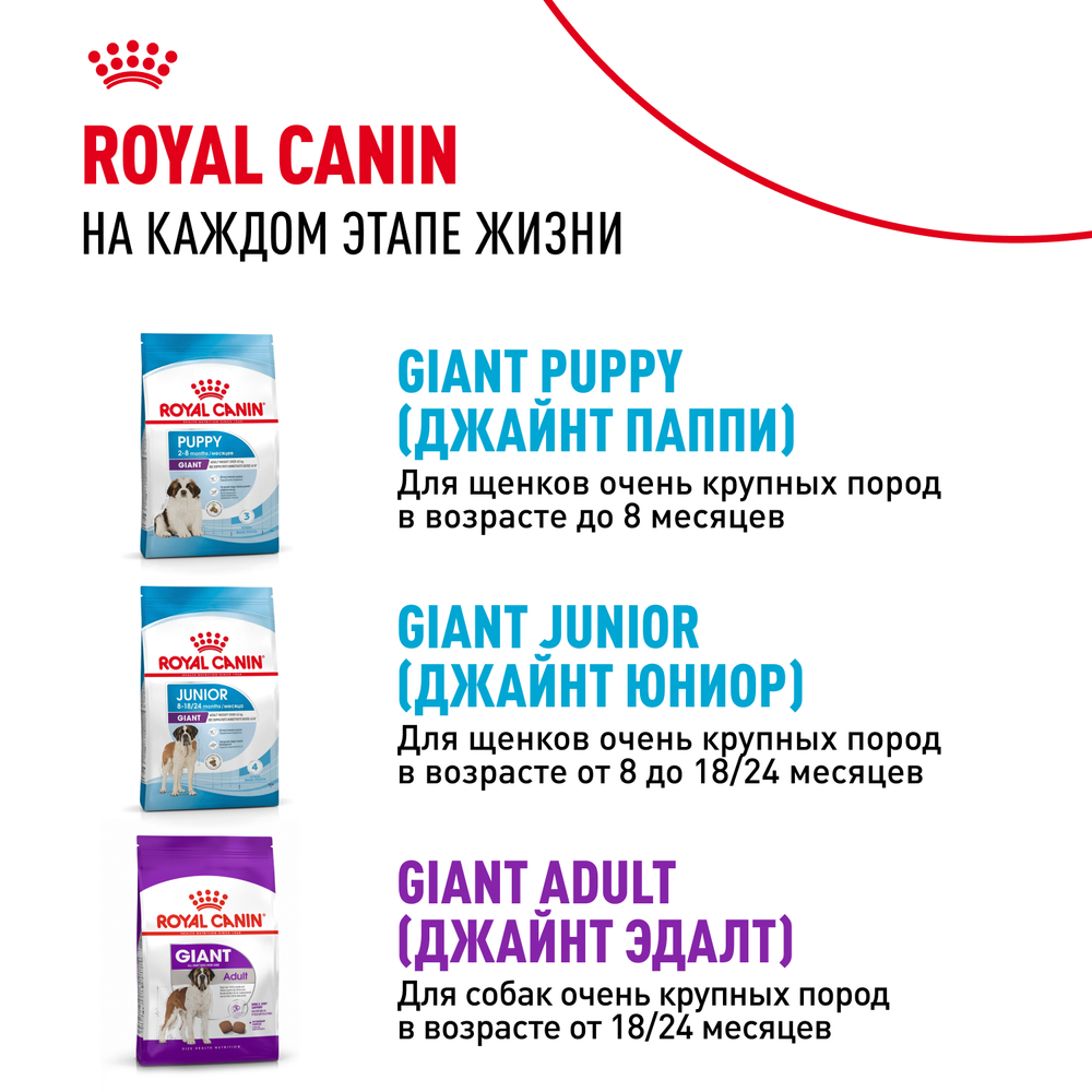 Royal Canin Giant Starter Mother & Babydog Джайнт Стартер Мазе энд Бебидог Корм для щенков гигантских пород в период первой фазы и отъема 15кг