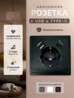 Розетка одинарная внутренняя с USB и type C