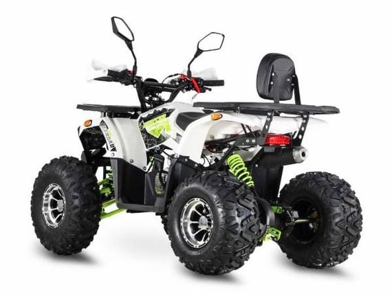 Квадроцикл GRIZZLY Aerox 125
