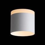 ST102.502.12 Светильник потолочный Белый LED 1*12W 3000K 936Lm Ra&gt;80 120° IP20 D100xH90 170-240V Накладные светильники