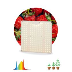 Квантум борд ЭРА FITO-80W-LED-QB Quantum board фитопрожектор полного спектра 80 Вт 3500К | Квантум борды (Quantum board)