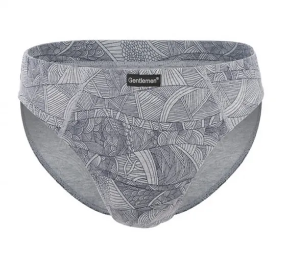 Трусы (2 шт) мужские слипы Gentlemen GP 8003