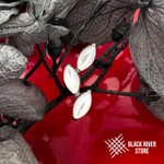 Leaflet v.2 White Shell