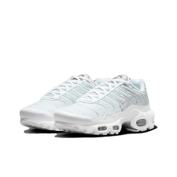 Женские кроссовки Nike Air Max Plus 'White Metallic Silver' FV0952-100