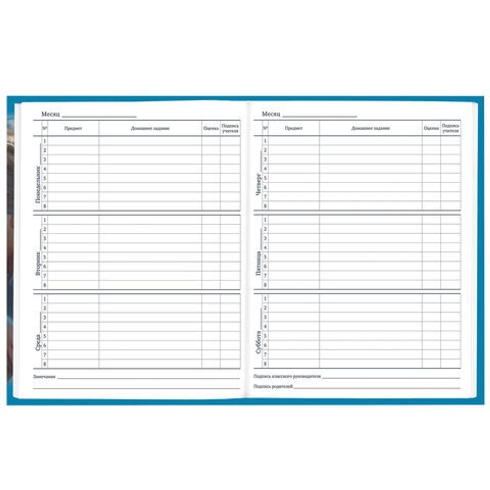 Дневник 1-11 класс 40 л., твердый, BRAUBERG, глянцевая ламинация, "Девушка с драконом", 107167