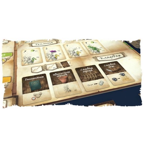 Настольная игра Генотип. Игра о генетике Менделя