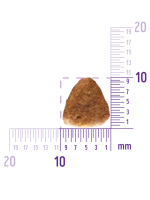 Сухой корм CORE для взрослых собак средних и крупных пород, со сниженным содержанием жира из индейки 10 кг