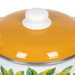 Кастрюля сталь, эмал, 3 л, с крыш, крышка сталь, СтальЭмаль, Грушевый сад, 6RD181M, белоснежная