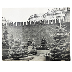 Лихачев М. С. Кремль. Черно-белая фотография. До 1987 г.