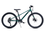 Maxiscoo "7BIKE" 24'' M500 (2024)