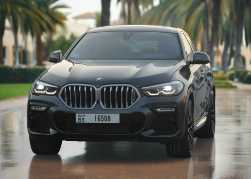 BMW X6
