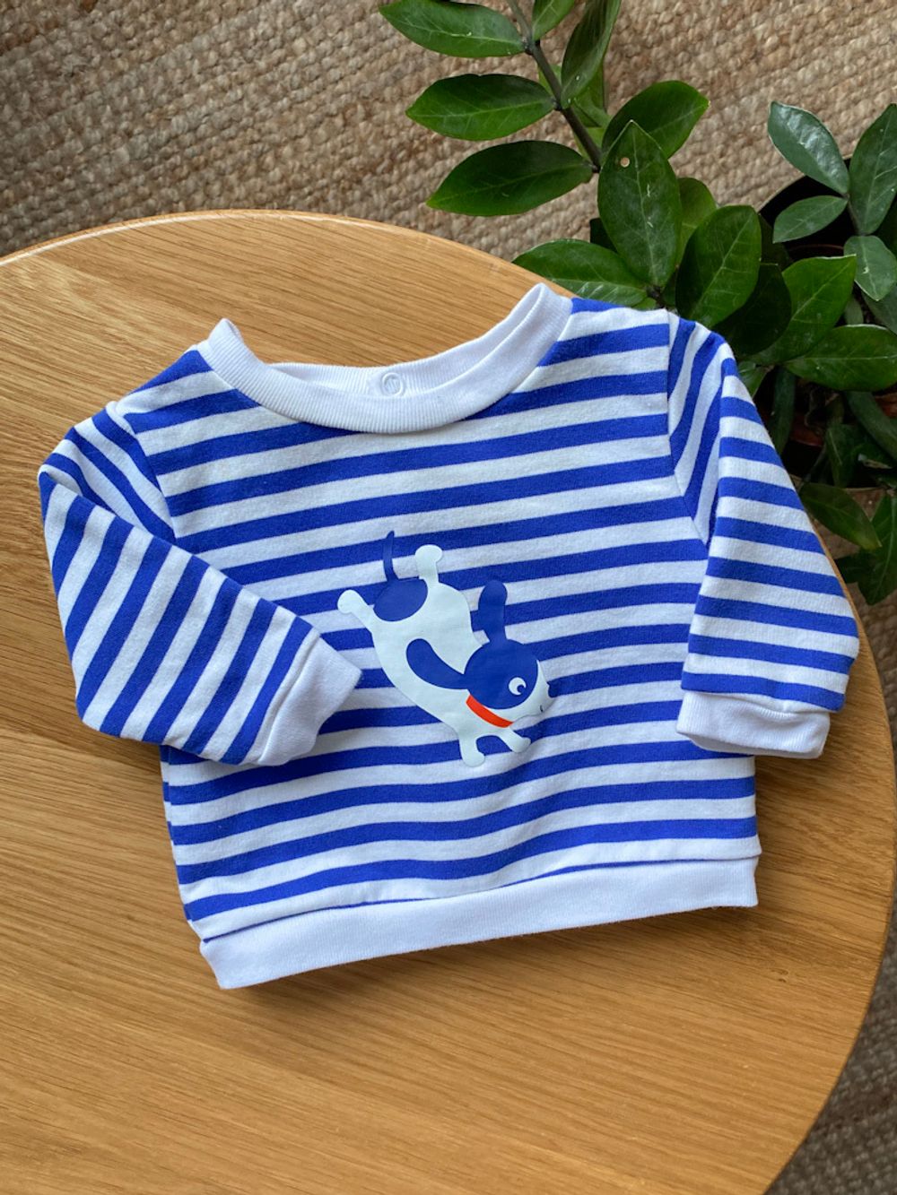 Свитшот Jacadi