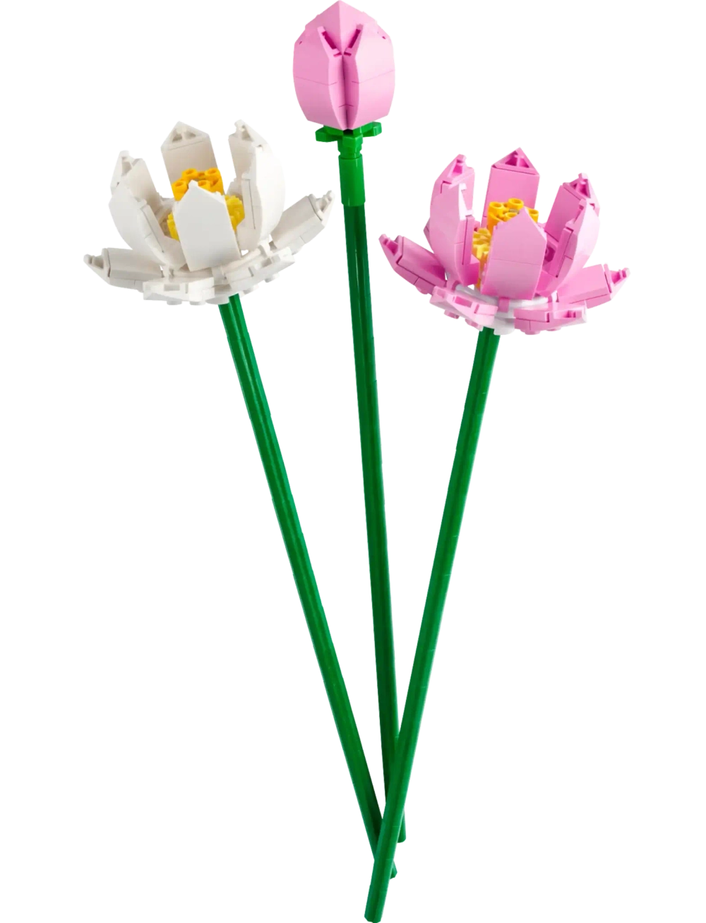 Конструктор LEGO Botanical Collection 40647 Цветы лотоса