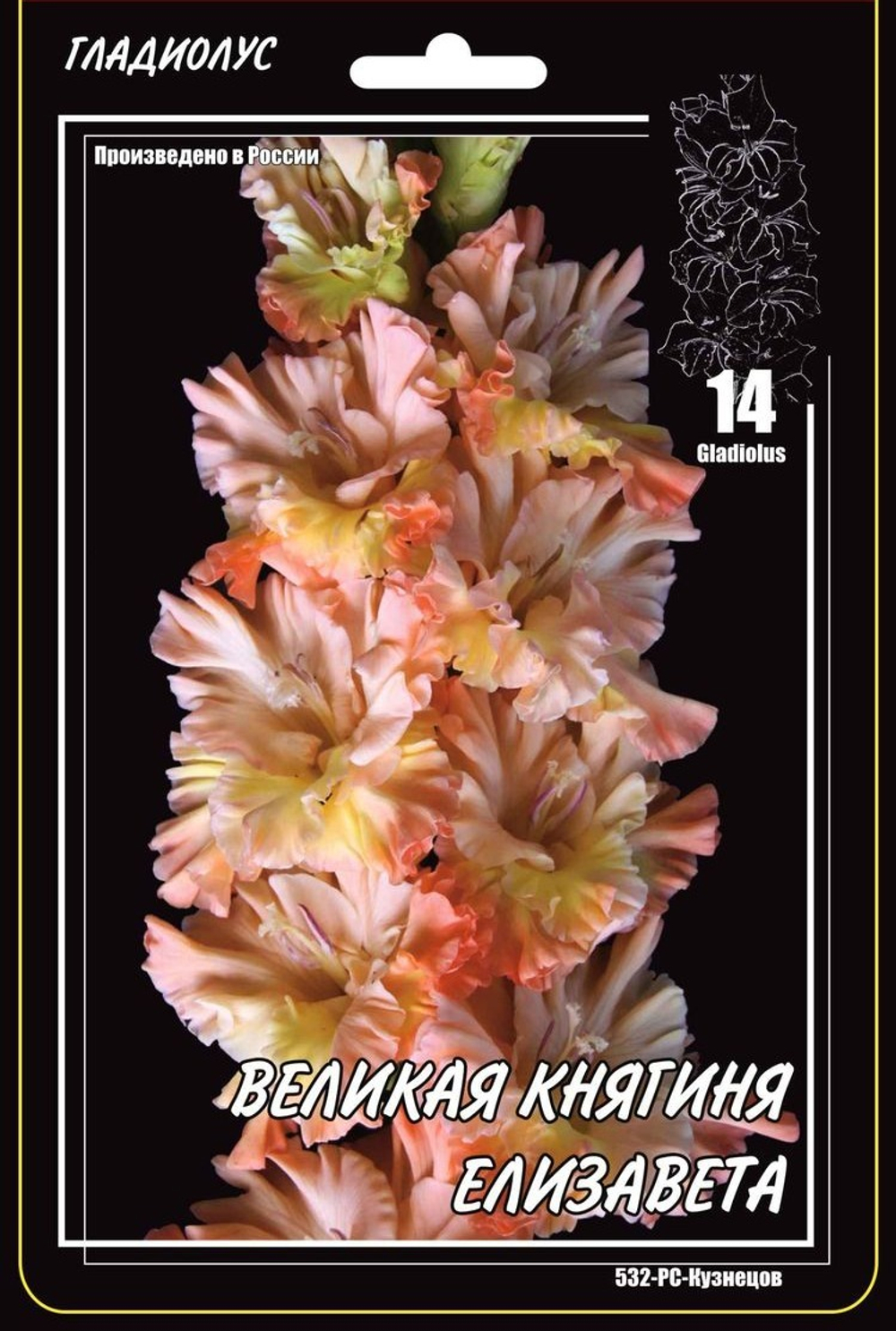 Гладиолус Великая Княгиня Елисавета 1шт.
