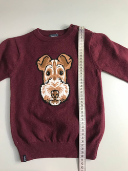 Джемпер Brums с милой собачкой, на 2 года