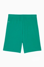 Шорты Puma teamGOAL - зеленый