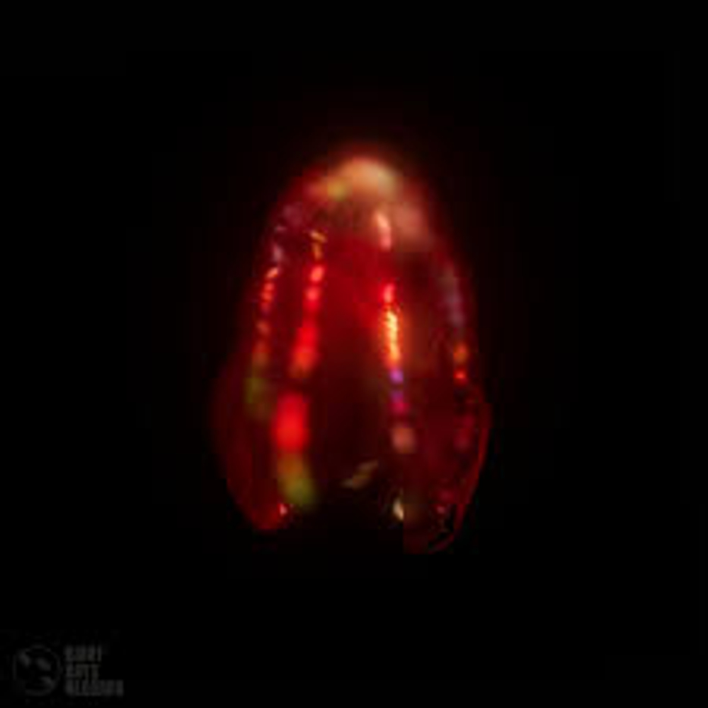 [CD] Andrew Krasilnikov - Bloody Belly Comb Jelly