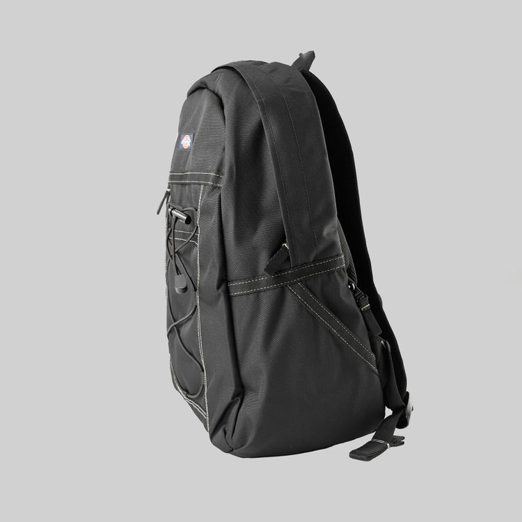 Рюкзак Dickies Ashville Backpack артикул:DK0A4Y33BLK1 - купить в магазине Дайс