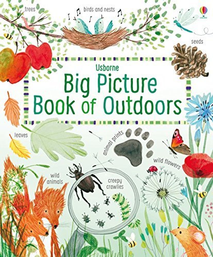 Big Picture Book: Outdoors (HB)