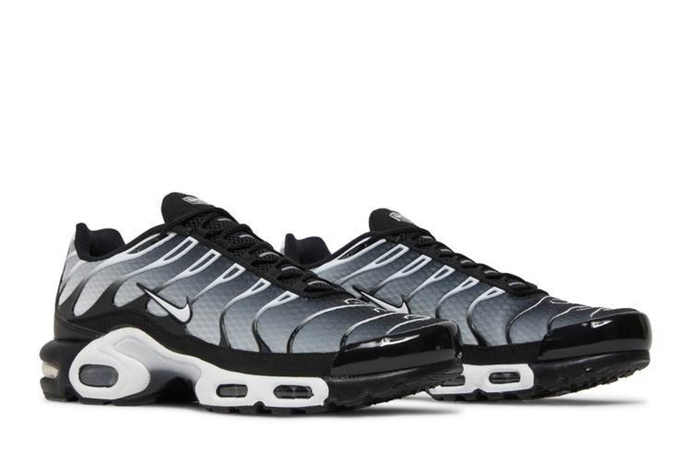 Кроссовки Nike Air Max Plus