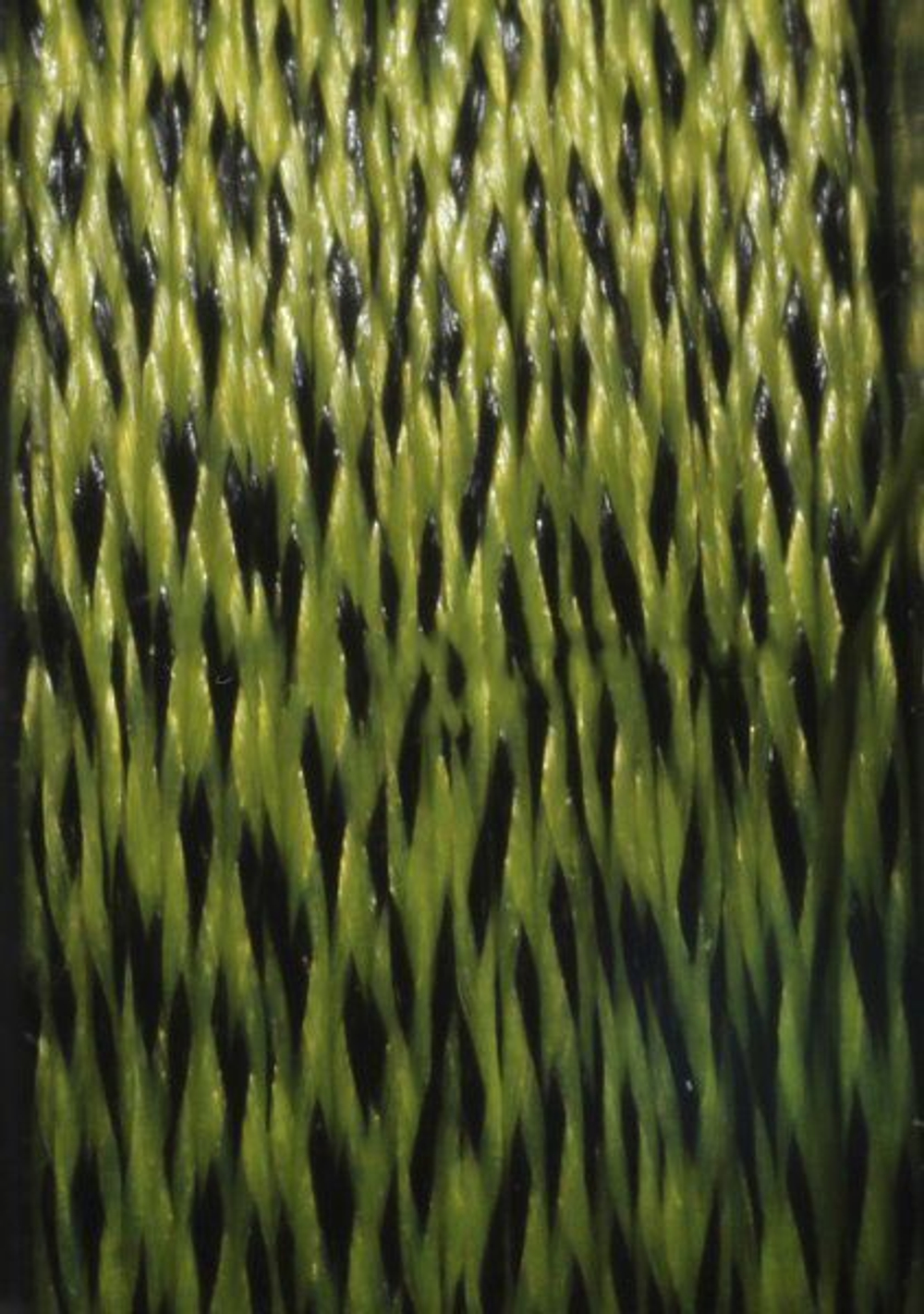 Поводочный материал CARP AGEx4 Ил/Глина 15m 10,1kg/22,2lb