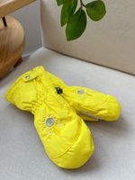 Варежки Poivre Blanc