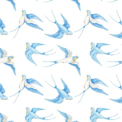 ласточки на юге 4