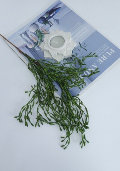 Суккулент / Арт 8018