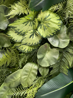 Бегония куст 45 см.