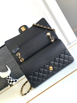 Chanel Bag 25 cm