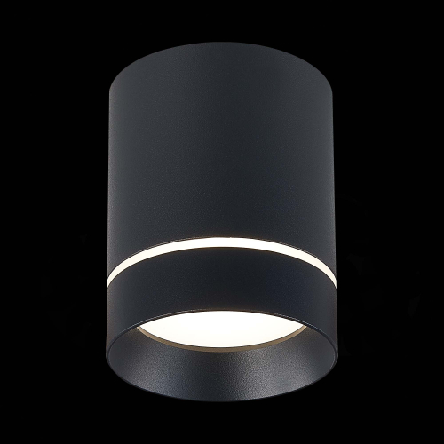 ST115.442.12 Светильник потолочный Черный LED 1*12W 4000K 840Lm Ra>90 120° IP20 D79xH100 170-240V