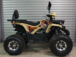 Квадроцикл PROMAX WILD 2.0 190 PRO (2025)