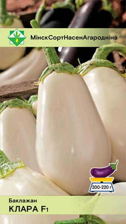 Баклажан "Клара F1" 0,1г., Польша.