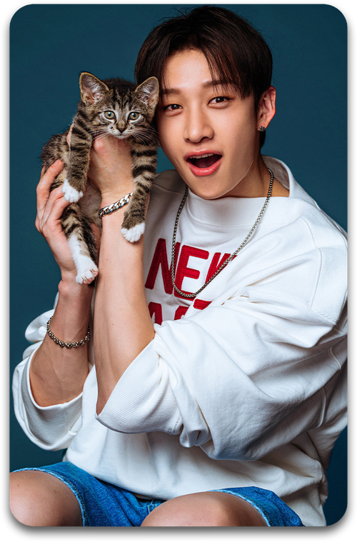 Карта / STRAY KIDS #3415