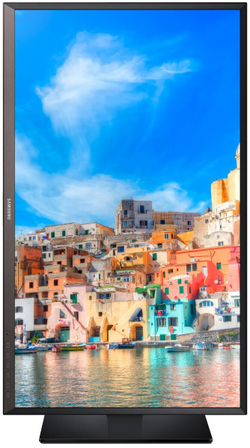 Монитор 32" Samsung S32D850T (LS32D85KTSN/CI)