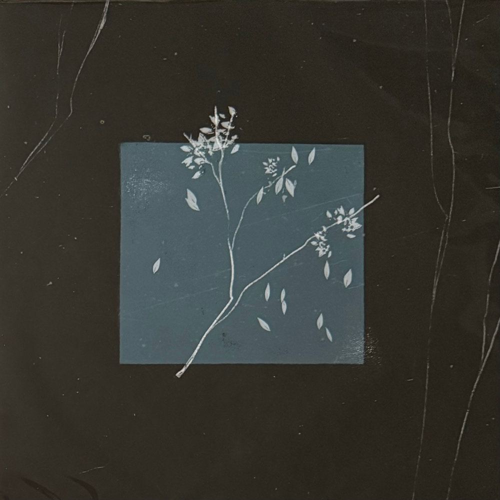 Bird Bone ‎– Лейтмотив (Россия 2024г.)