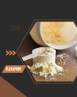 Жиросжигатели