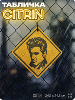 Табличка декоративная "Элвис Пресли, Elvis Presley" на дверь и стену, прикольная штука в подарок, декоративный знак, 24,5х24,5 см, пластиковая, Айдентика Технолоджи