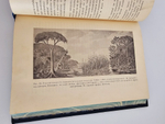 "Диковинки Земли". П.Е.Васильковский. 1913г.