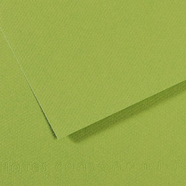 Бумага для пастели Mi-Teintes 160 г/м², 50х65 см, 10 л, №475 Зеленое яблоко, Canson, C31032S106